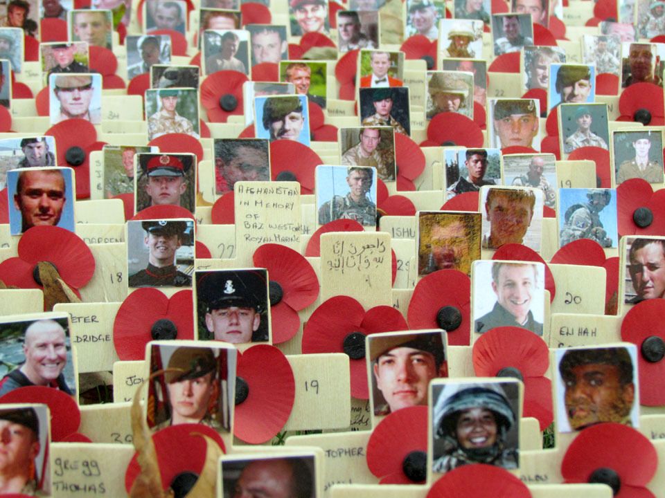 Royal Legion remembrance poppies