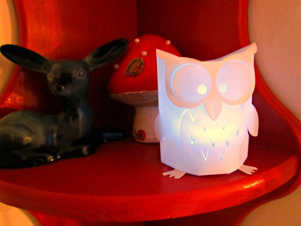 Owl Light Owl Light