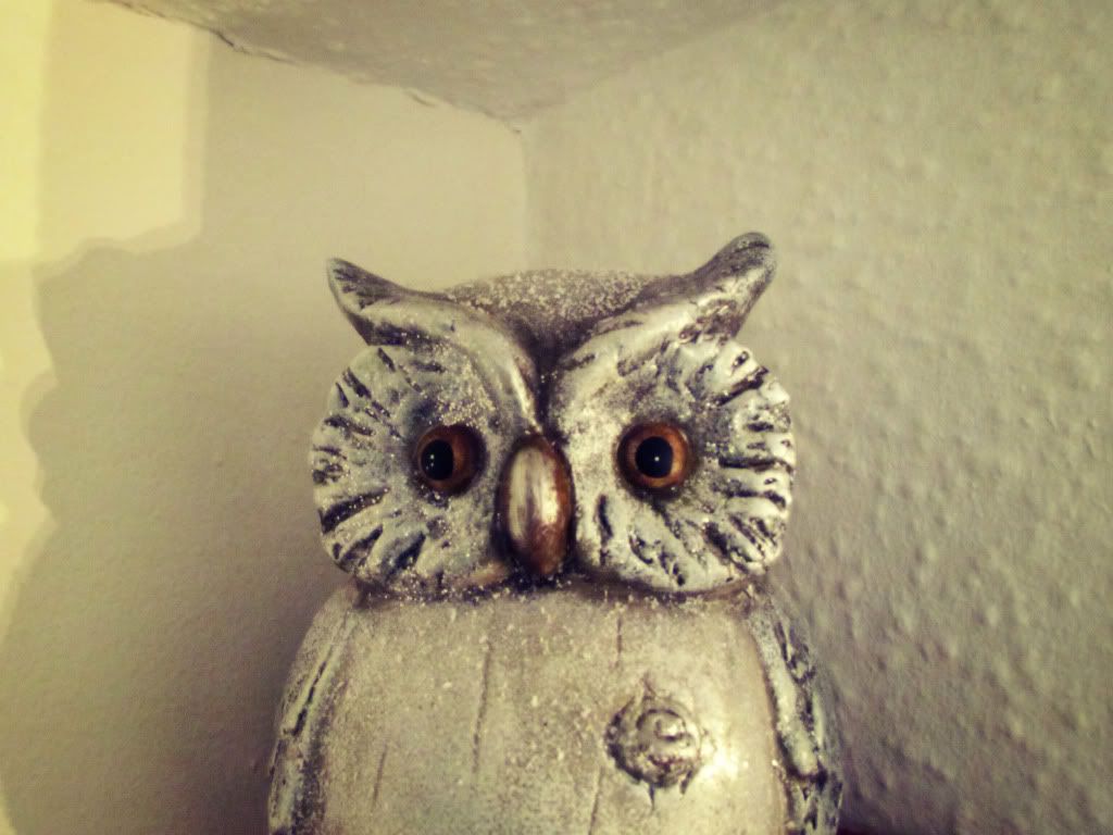 Owl Owl