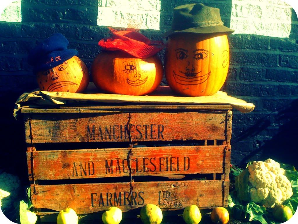 Pumpkins