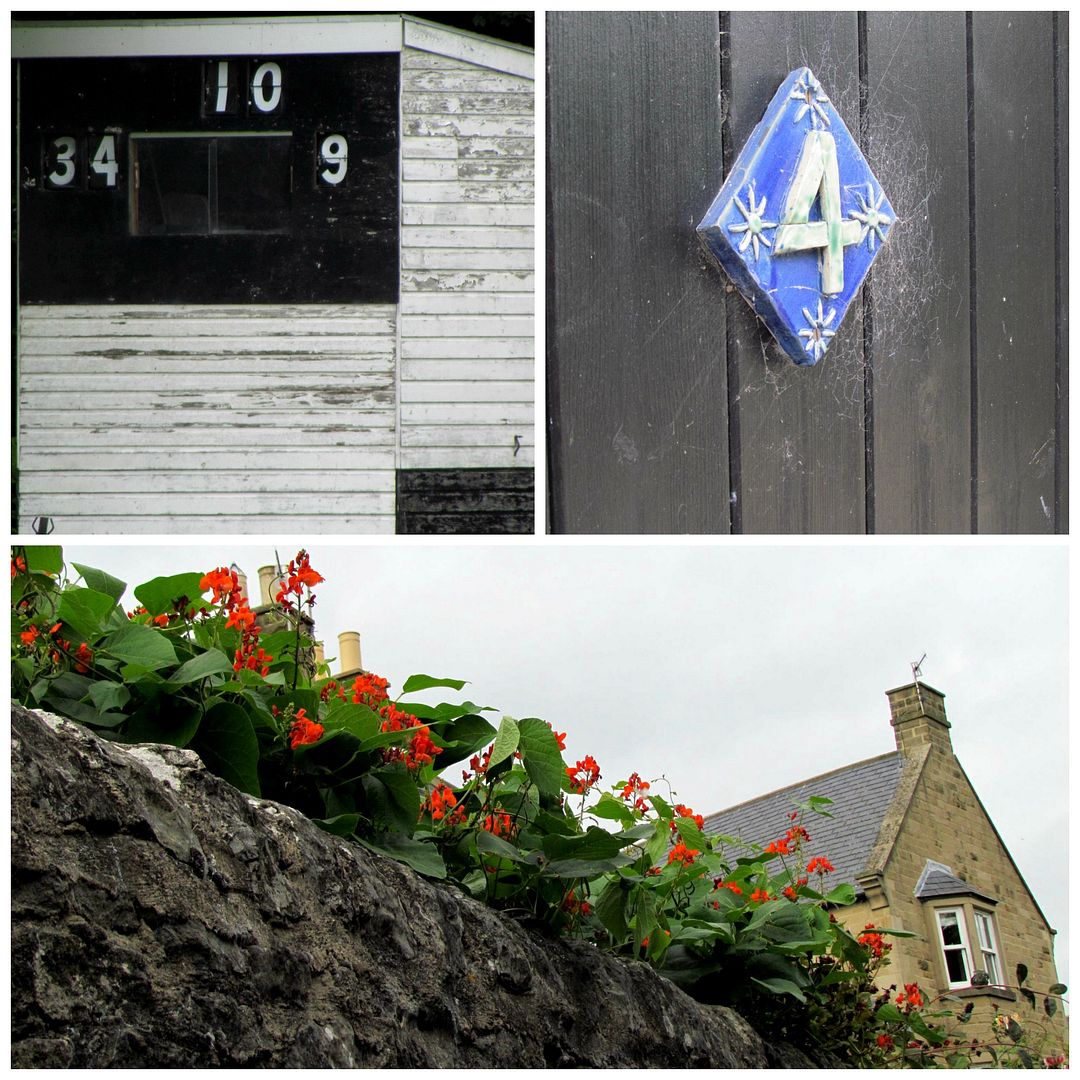 Runner Beans growing over a wall