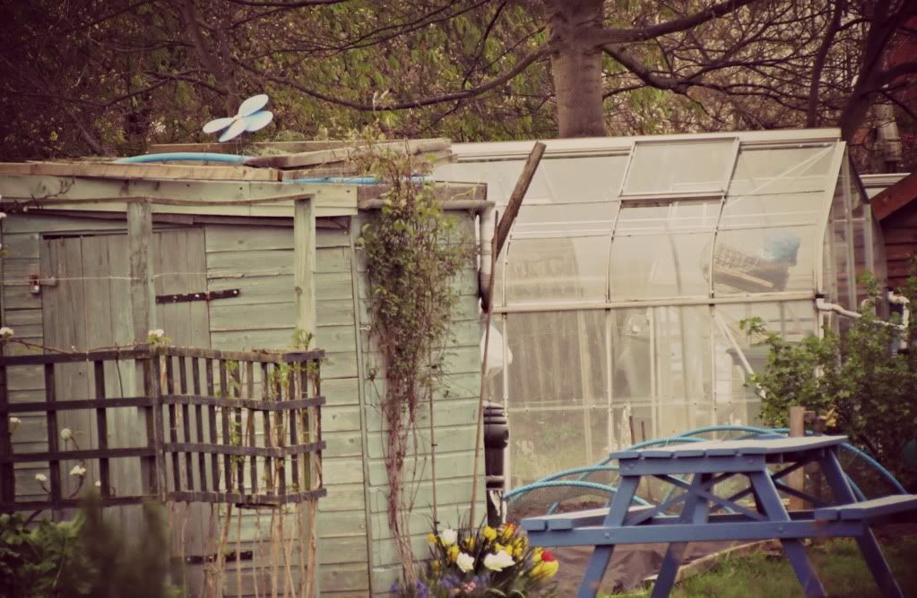 Allotments View