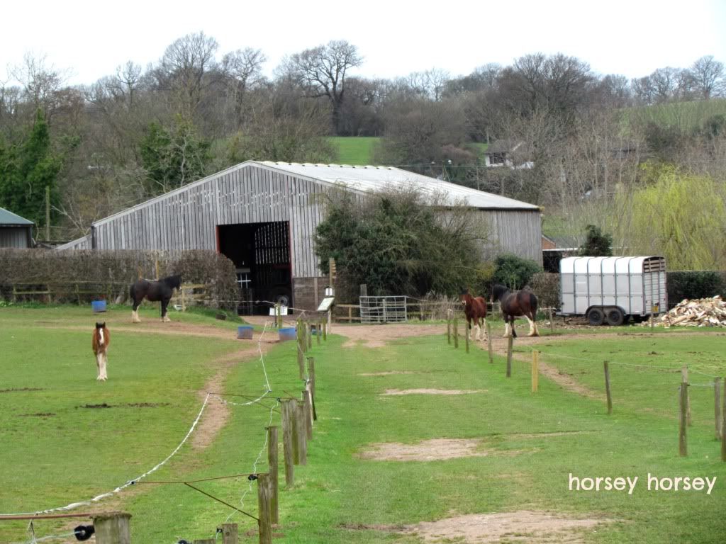 Cotebrook Shire Horse Centre