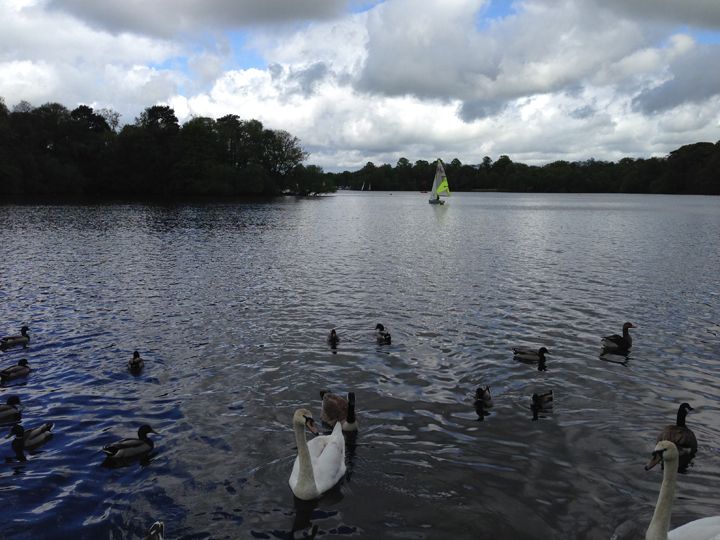 Rushmere, Cheshire