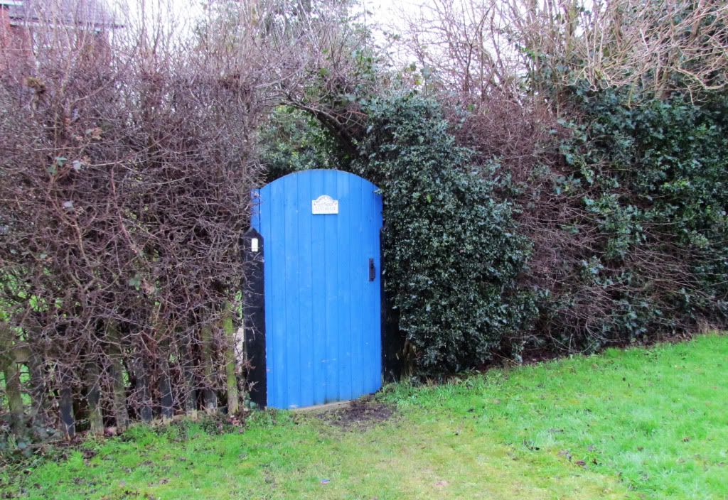 Secret Blue Door
