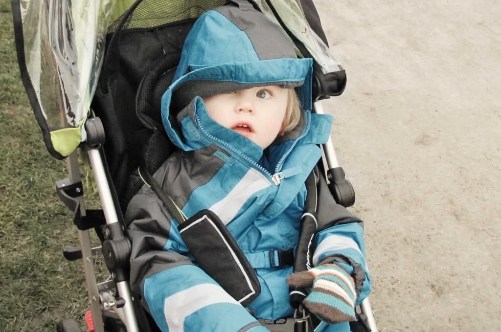 Snuggly in the buggy