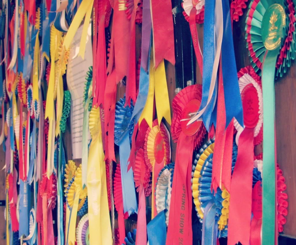 Rosette Wall