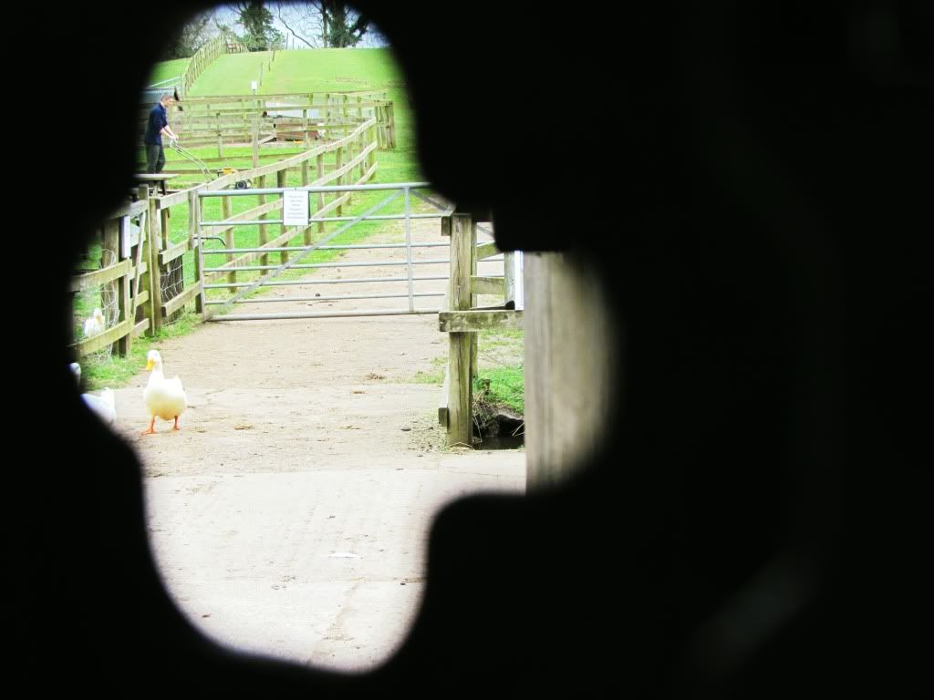 Through the keyhole