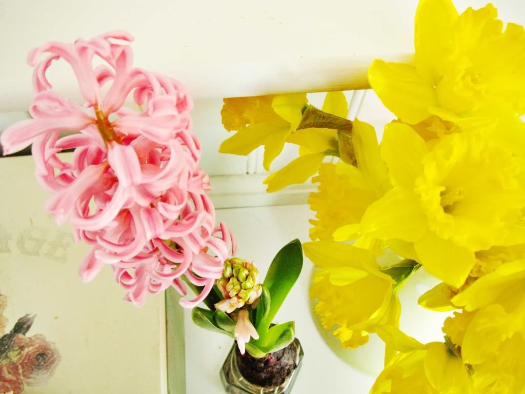 Spring Flowers