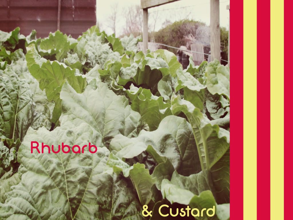 Rhubarb
