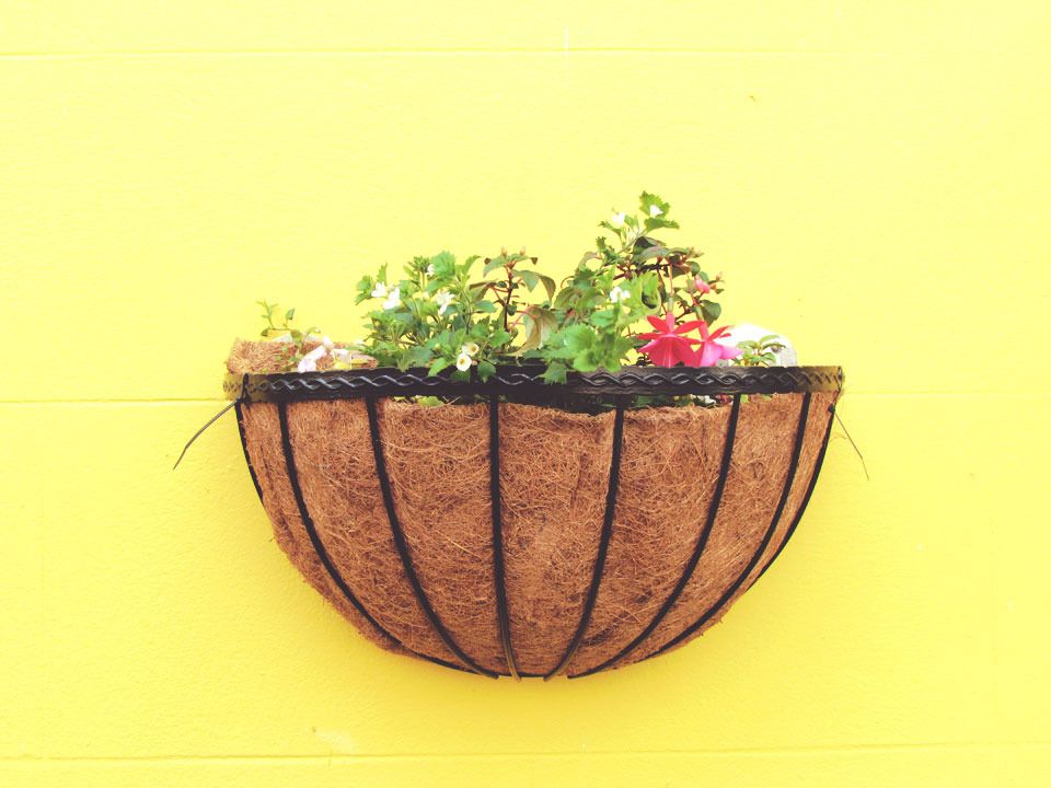 yellow wall