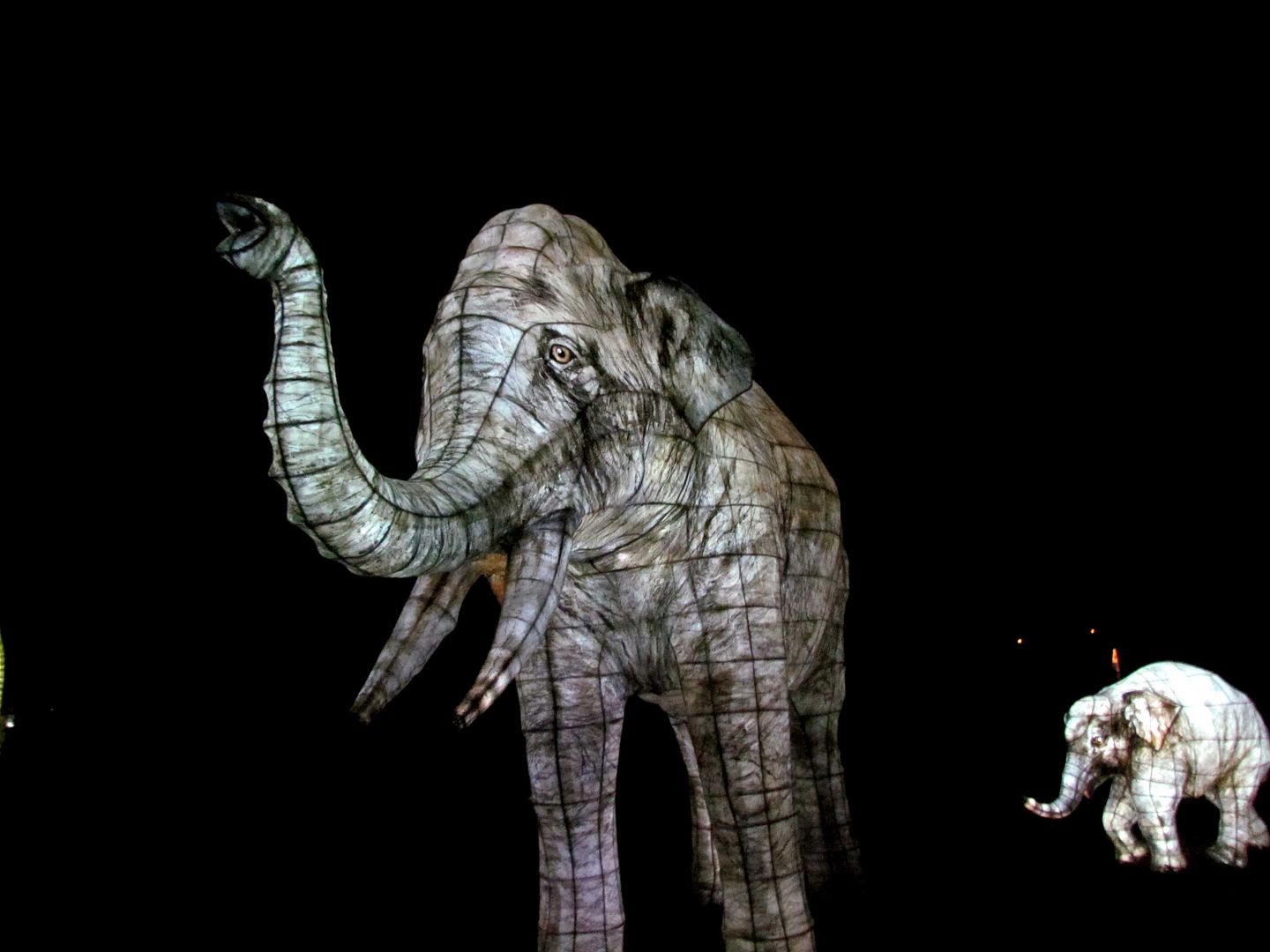 elephant lantern