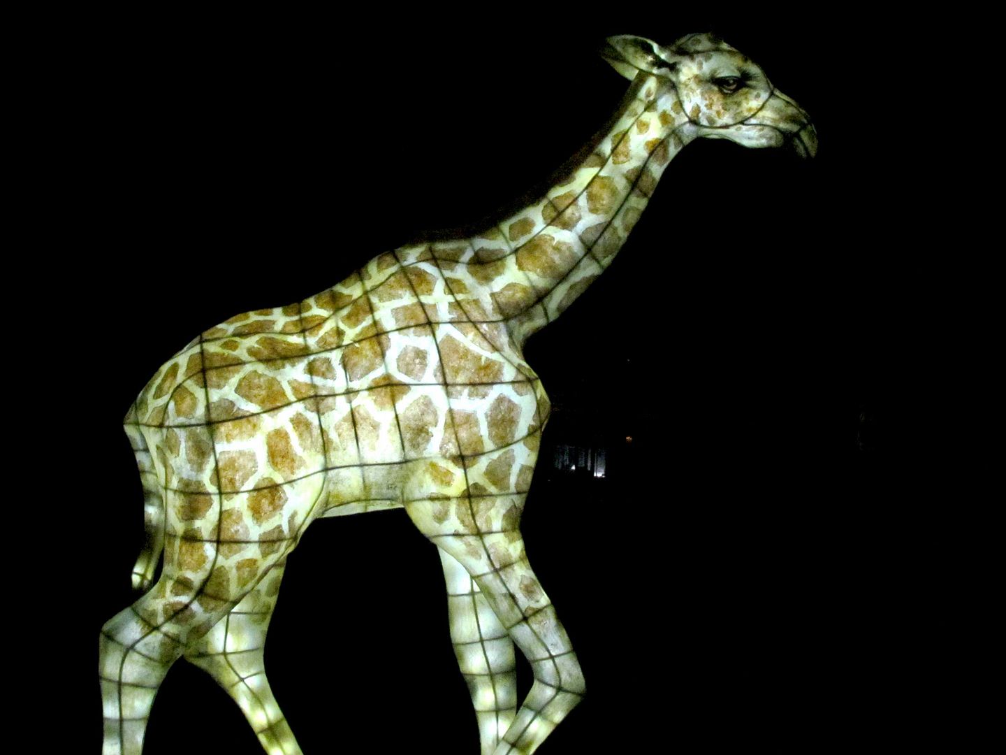 giraffe lantern