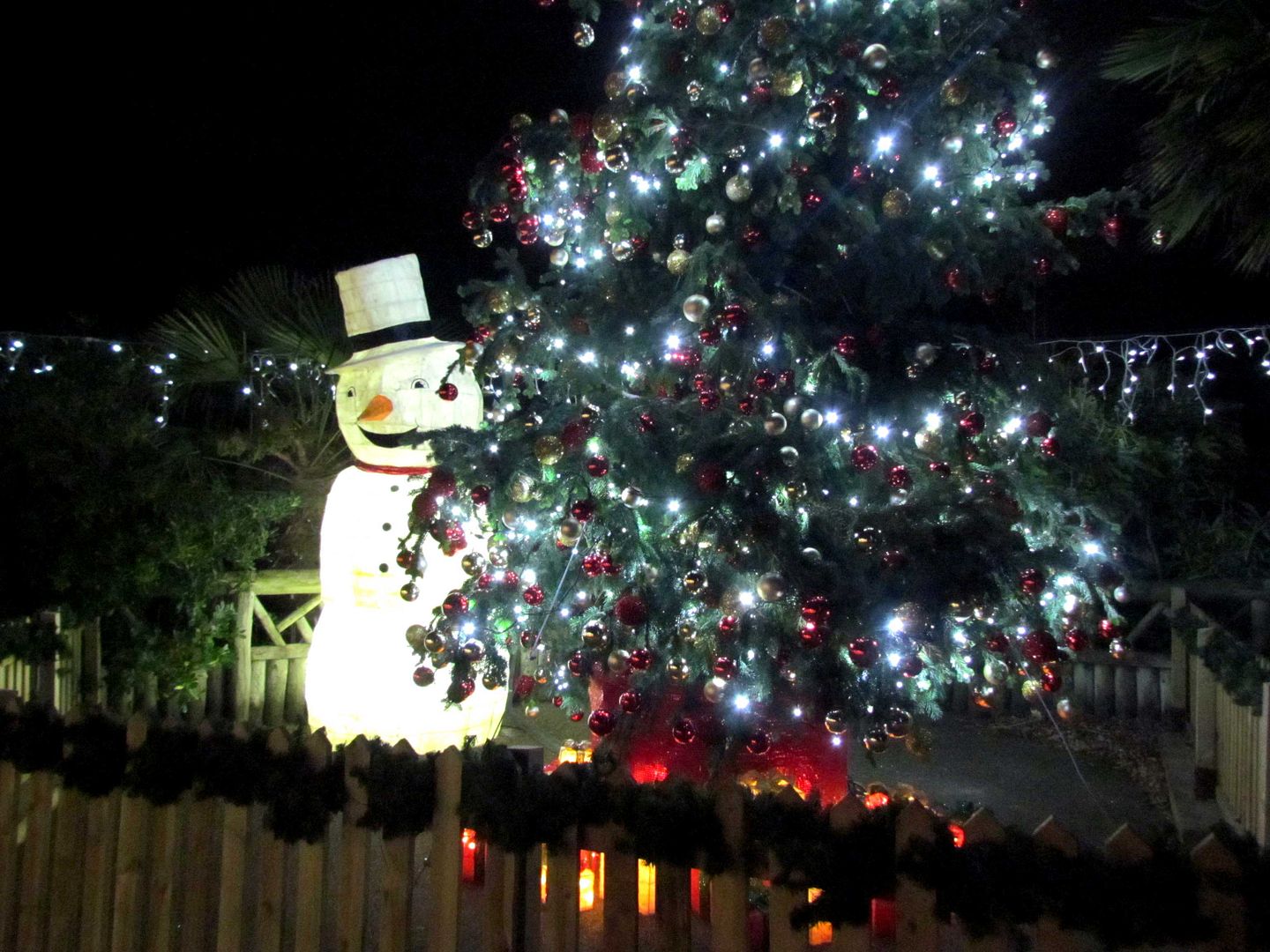 Zoo Christmas tree