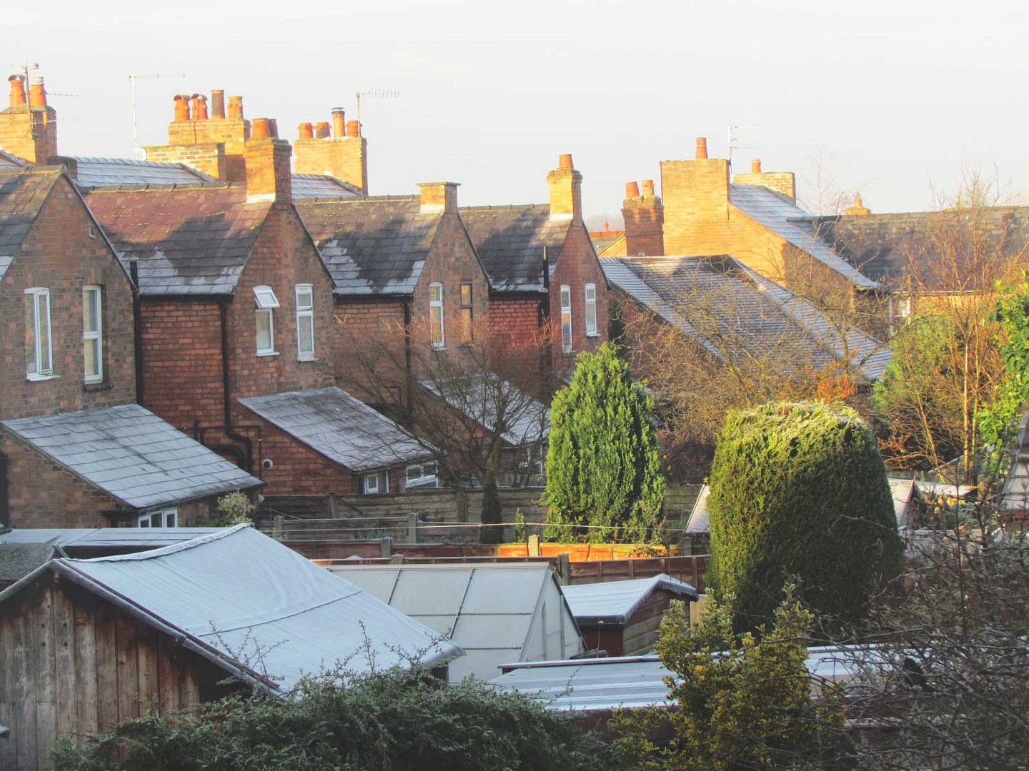 frosty rooftops