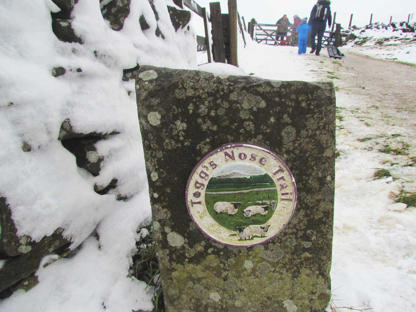 Teggs Nose Plaque