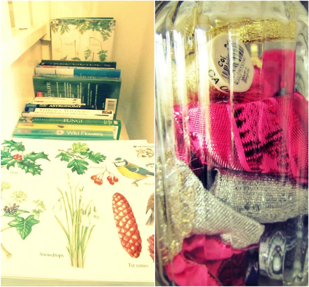 Winter Nooks Winter Nooks