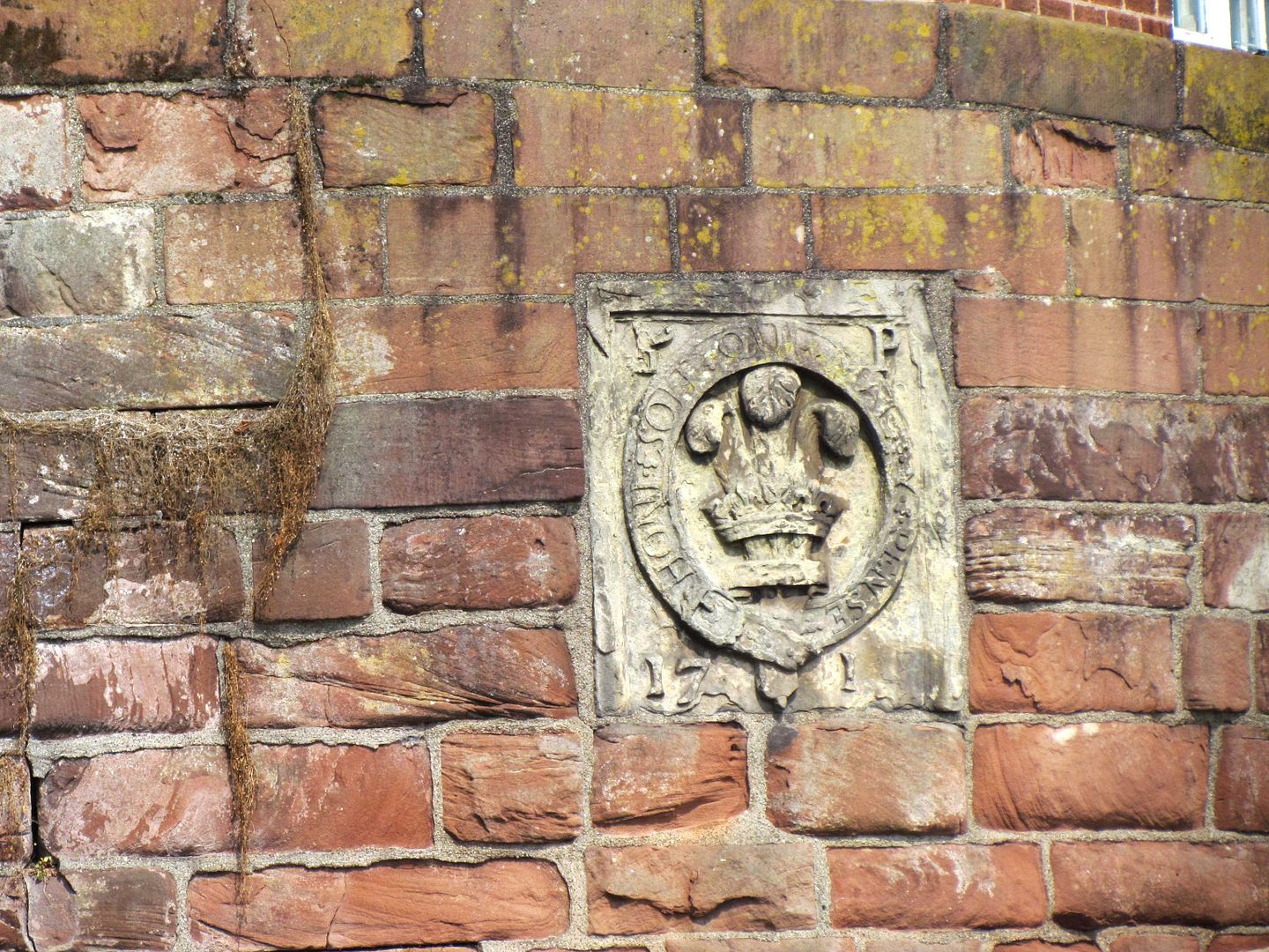 crest