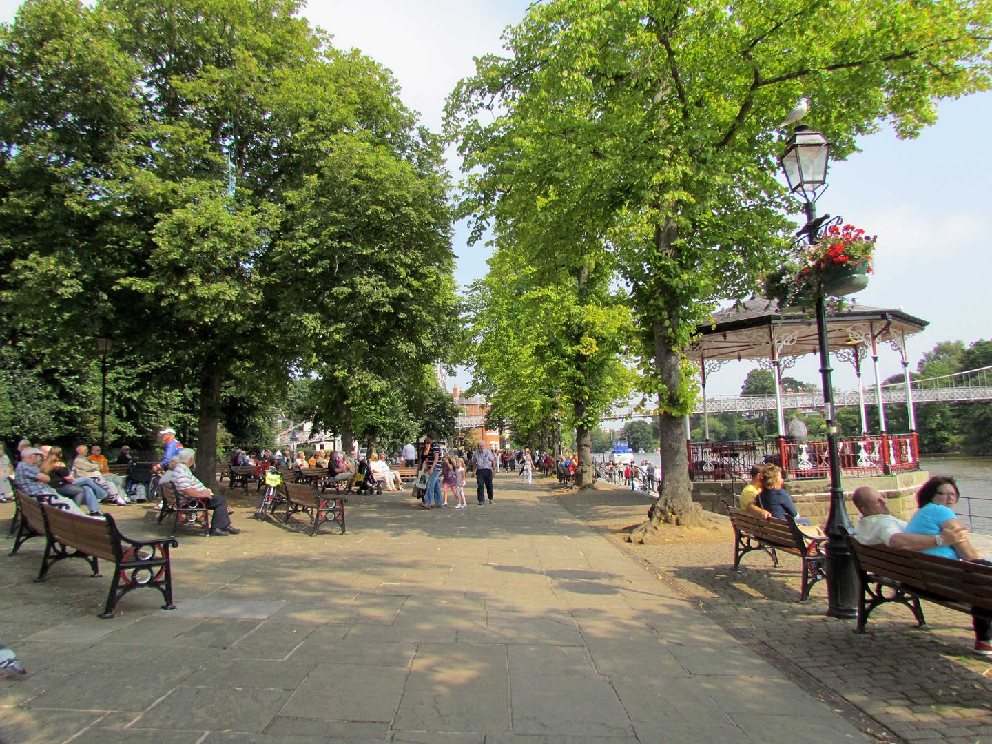 The Groves at Chester