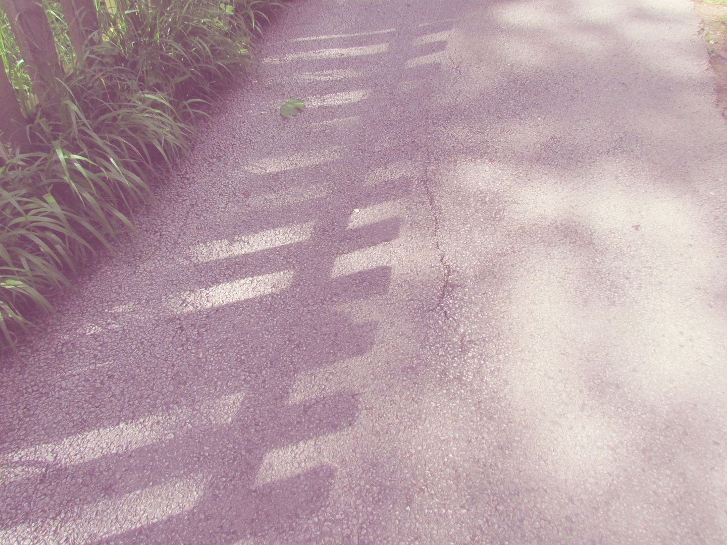 shadows
