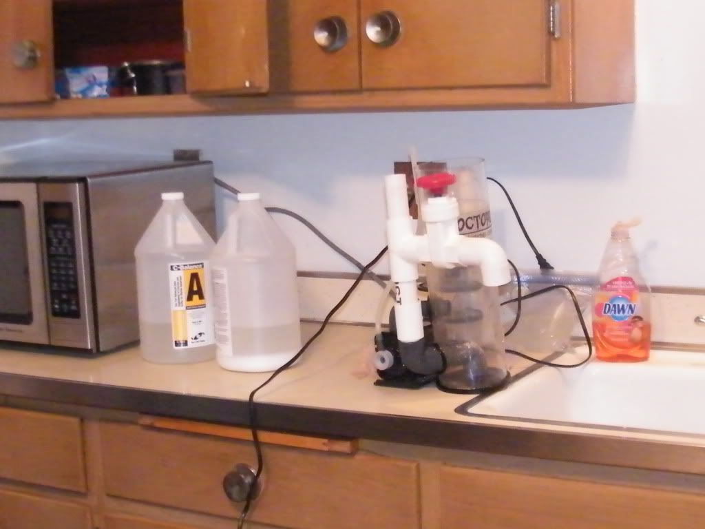 DSCF5894.jpg