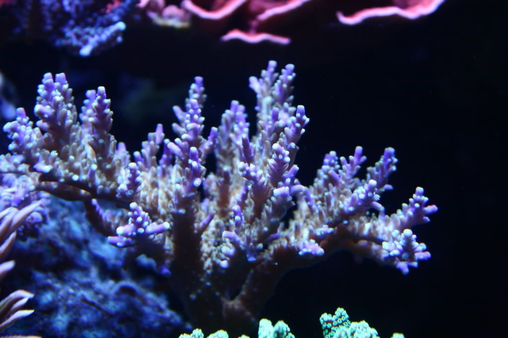 IMG_2166.jpg
