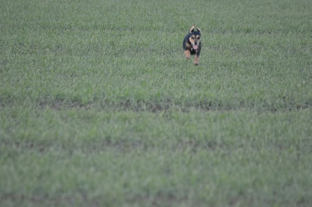 DSC_0212.jpg