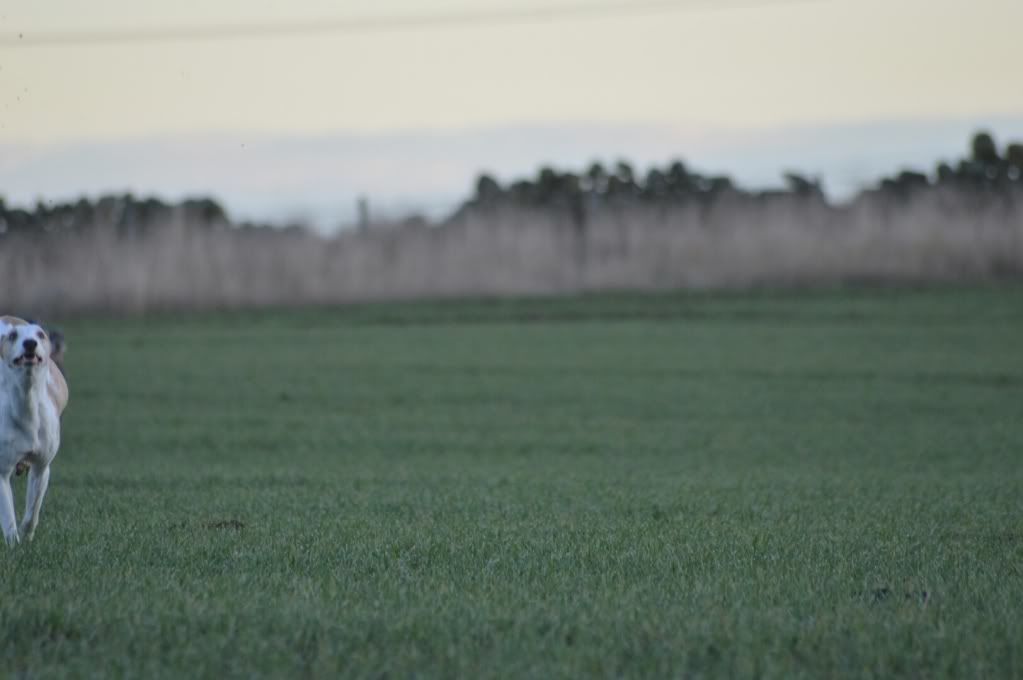 DSC_0234.jpg