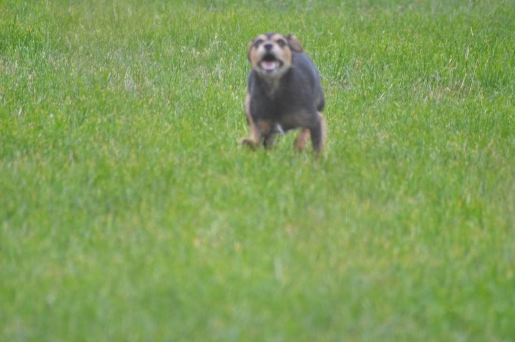 DSC_0240.jpg