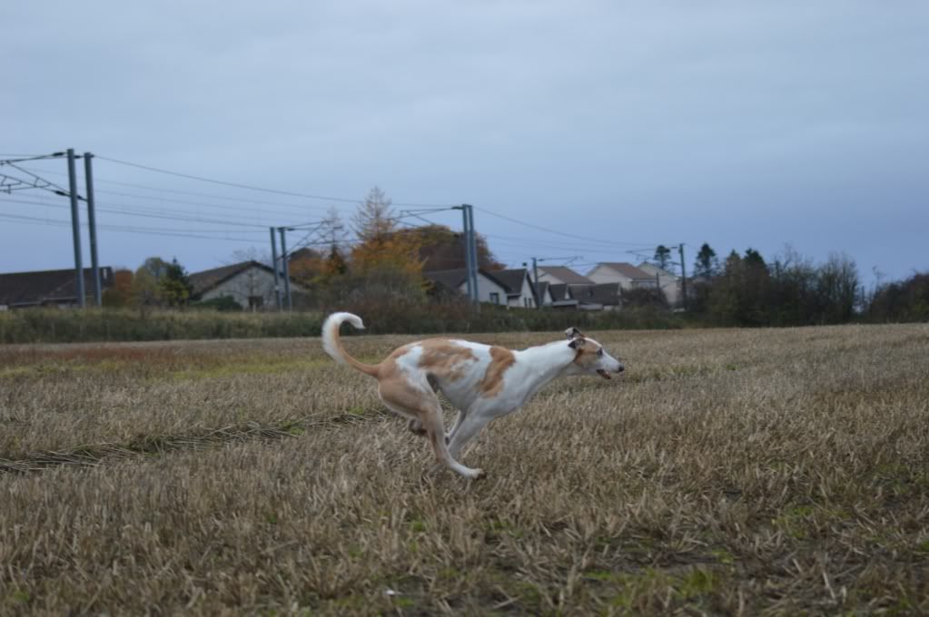 DSC_0248.jpg