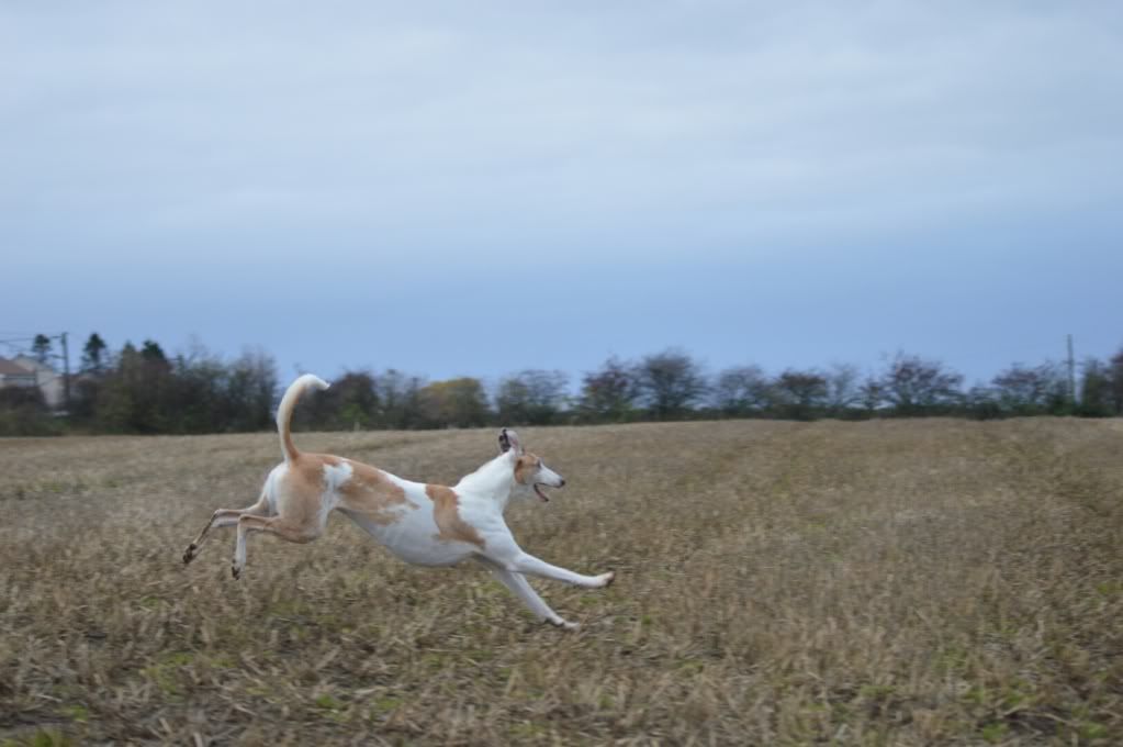 DSC_0249.jpg
