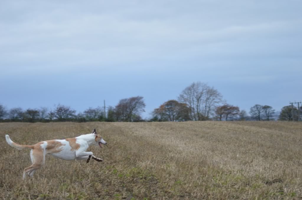 DSC_0250.jpg