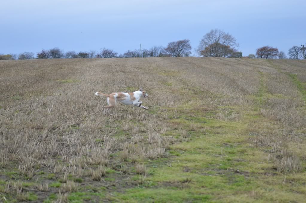 DSC_0252.jpg