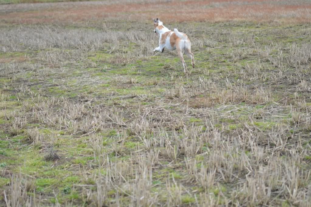 DSC_0253.jpg