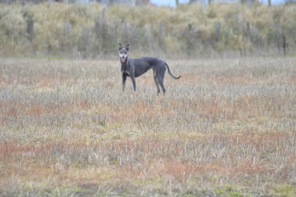 DSC_0255.jpg