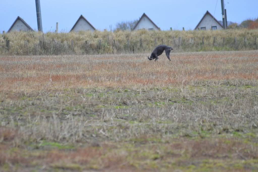 DSC_0257.jpg