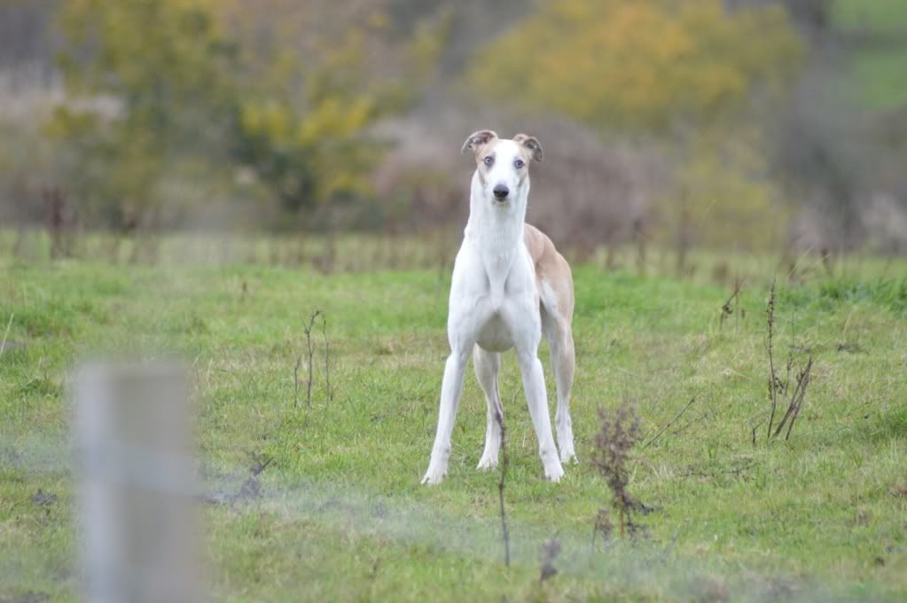 DSC_0267.jpg
