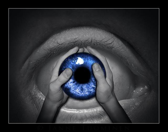 Iris. Pictures, Images and Photos