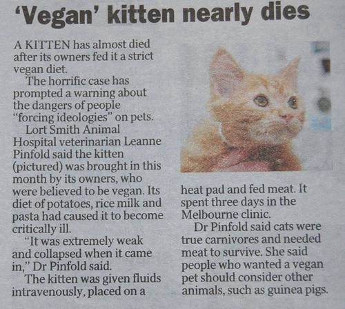 http://i979.photobucket.com/albums/ae273/prematurelyindeterminate/vegan-pussy_zps78d3c085.jpg