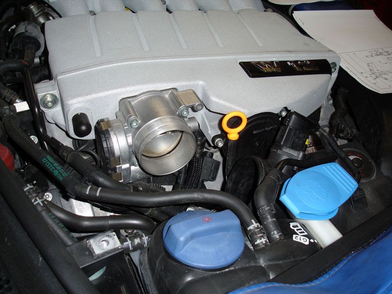 F265 Map Controlled Engine Thermostat Replacement (W12 BAP) VW