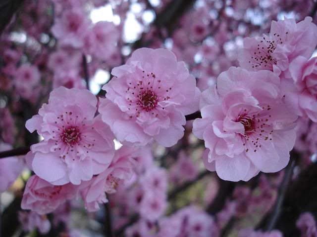 Все реки текут... Photobucket