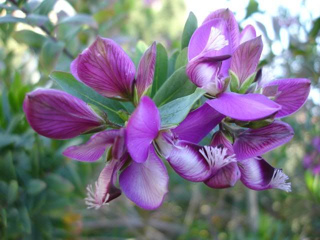 Все реки текут... Photobucket