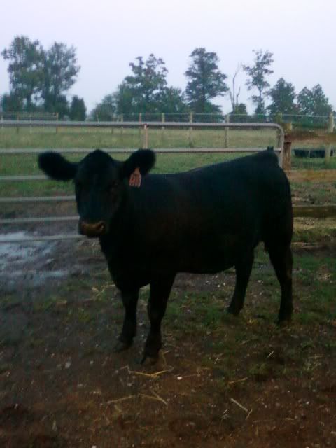 PhonePics073.jpg