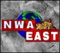 logo_NWA-E.jpg