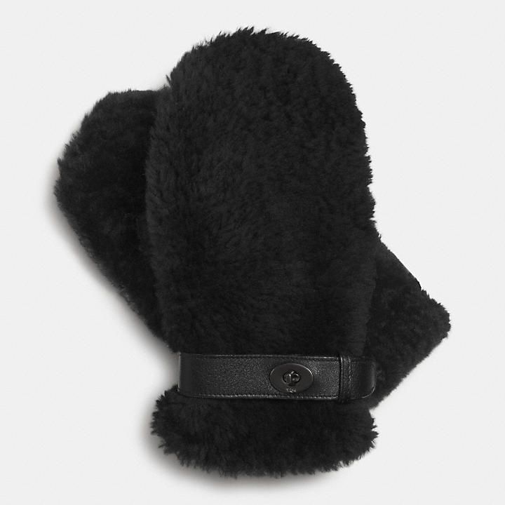 Holiday Splurge! Expensive gifts: shearling mittens