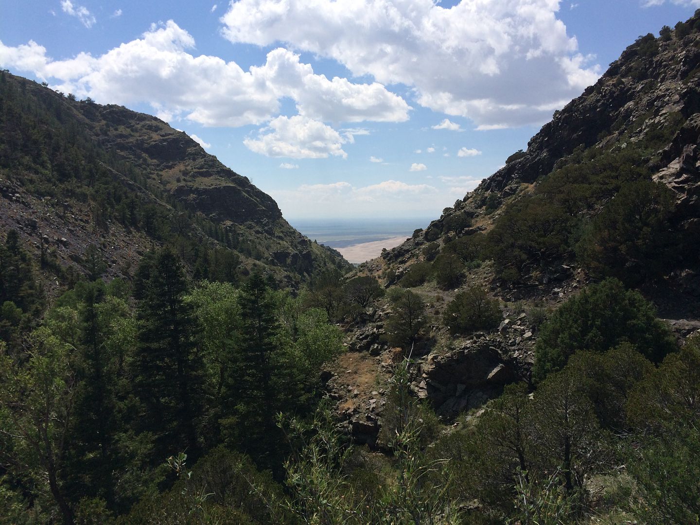 View of the Dunes from Mosca Pass Trail | Cool Mom Picks