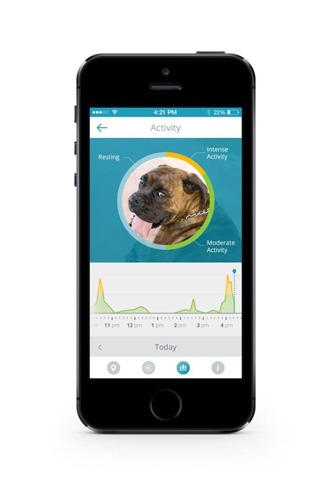 Findster: An affordable GPS tracking system for children, pets.