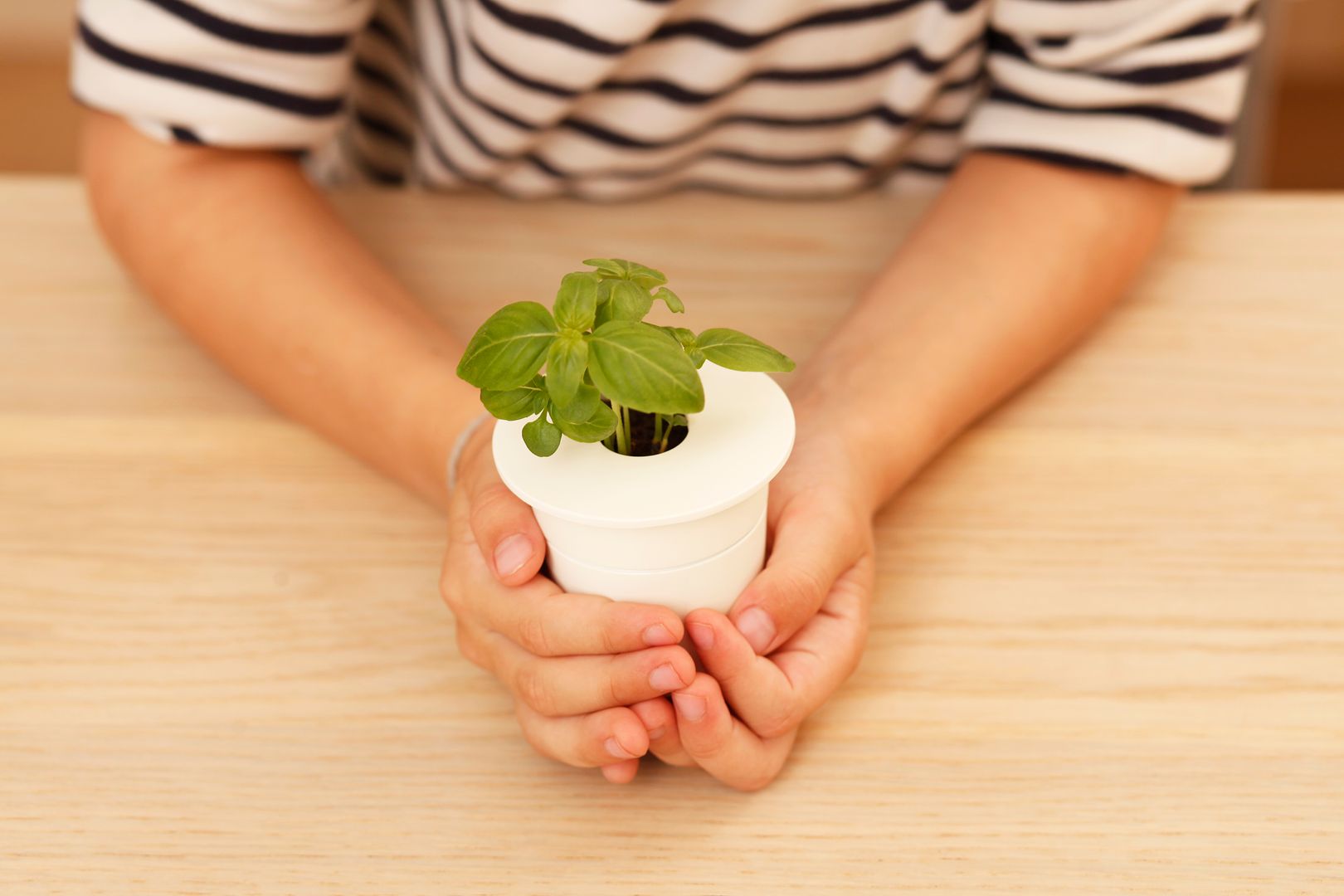 Smart Herb Garden pods by Click & Grow | Cool Mom Tech