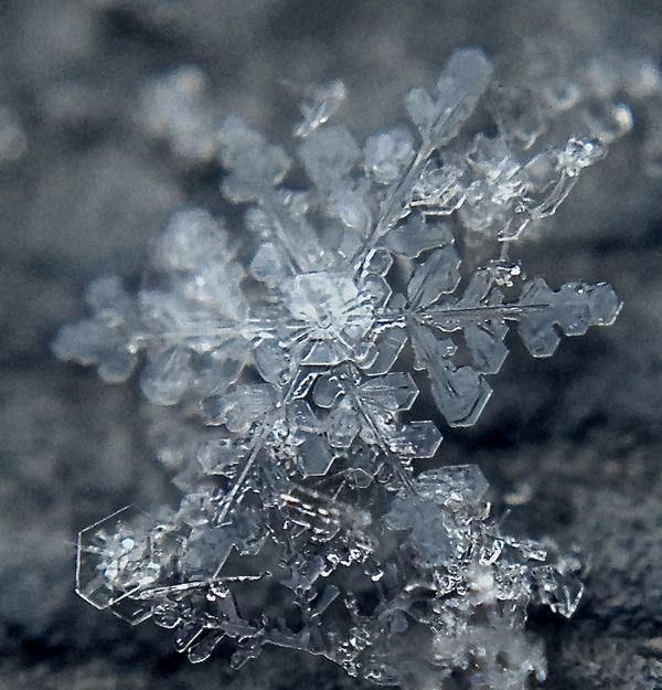 Easy Macro Lens  - snowflake photo | Cool Mom Tech