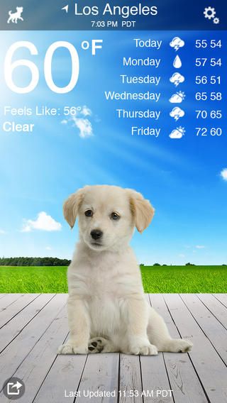 Funny pet apps: Weather Puppy app | Cool Mom Tech